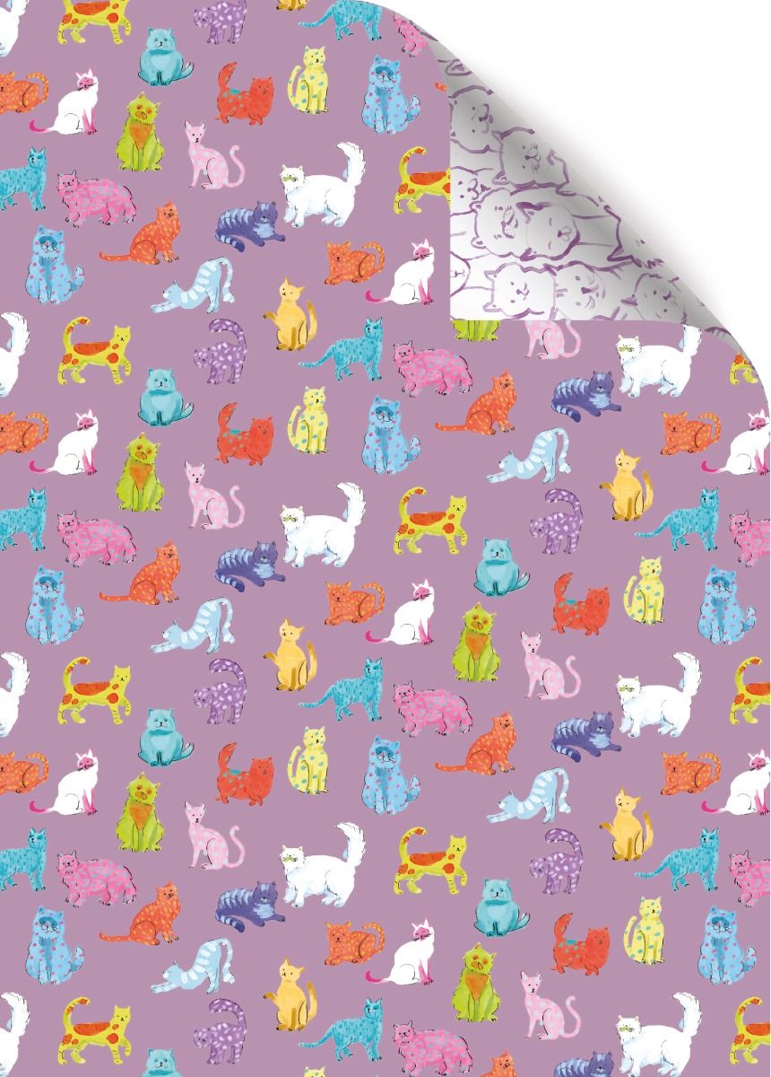 Pawty Time Cats Double Sided Wrapping Paper