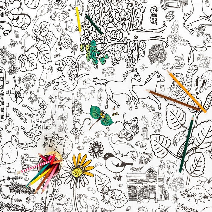 Colour-in Giant Poster / Tablecloth – Countryside