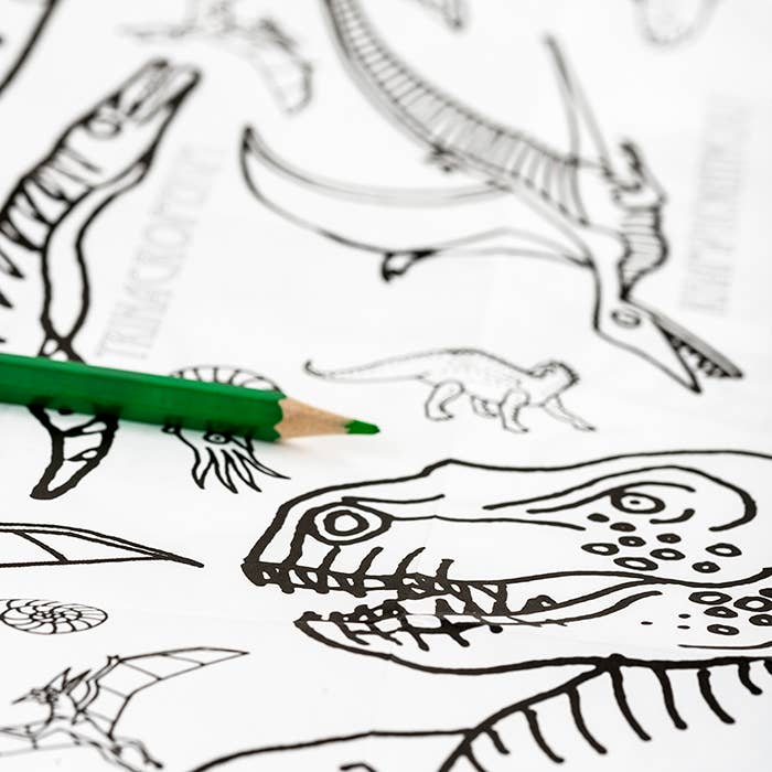 Colour-in Giant Poster / Tablecloth - Dinosaurs