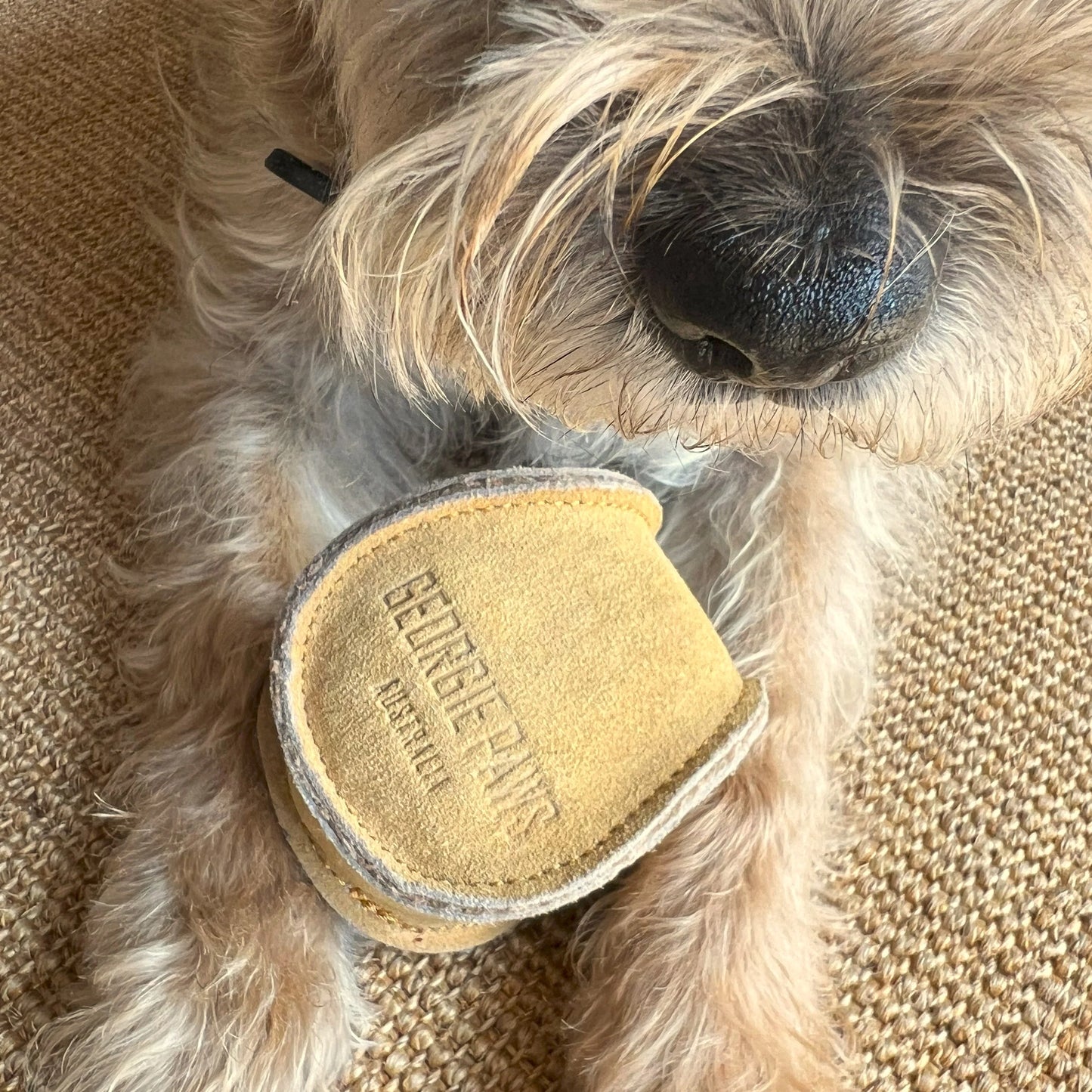 Eco Friendly Dog Ball - Gold