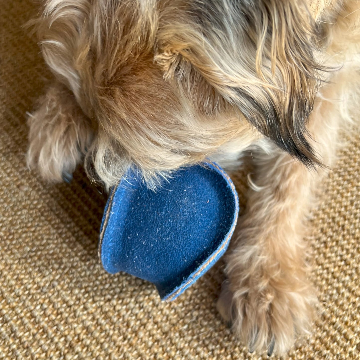 Eco Friendly Dog Ball - Blue