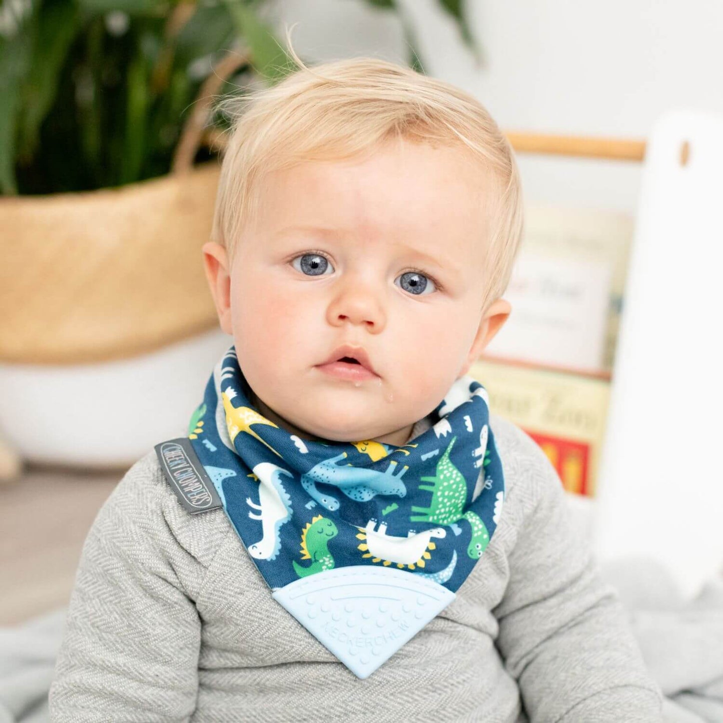 Neckerchew Teething Dribble Bib - Baby Dino