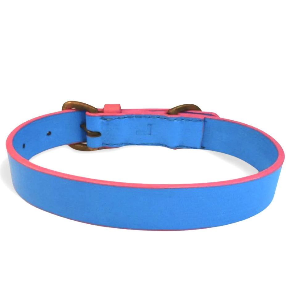 Dog Collar - Blue + Pink (Small)