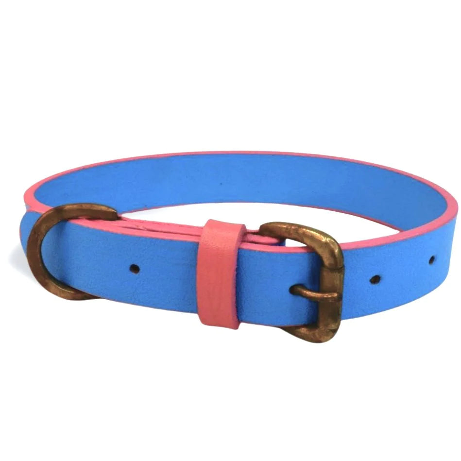 Dog Collar - Blue + Pink (Small)