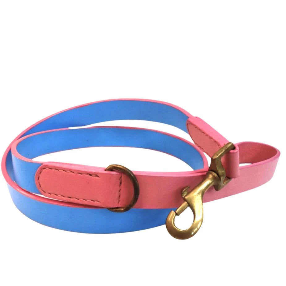 Dog Lead - Blue + Pink