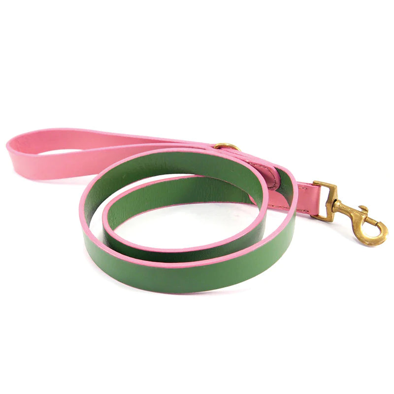 Dog Lead - Emerald + Pink