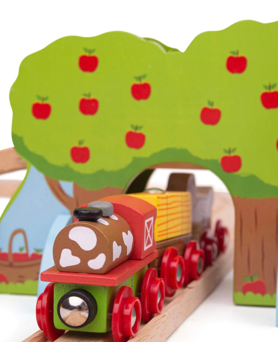 Farm Train Set